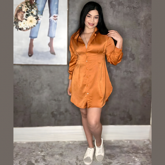 SHIRT DRESS